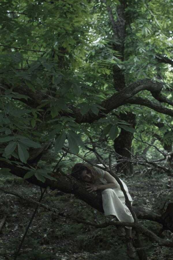 Entwined (2020) 0