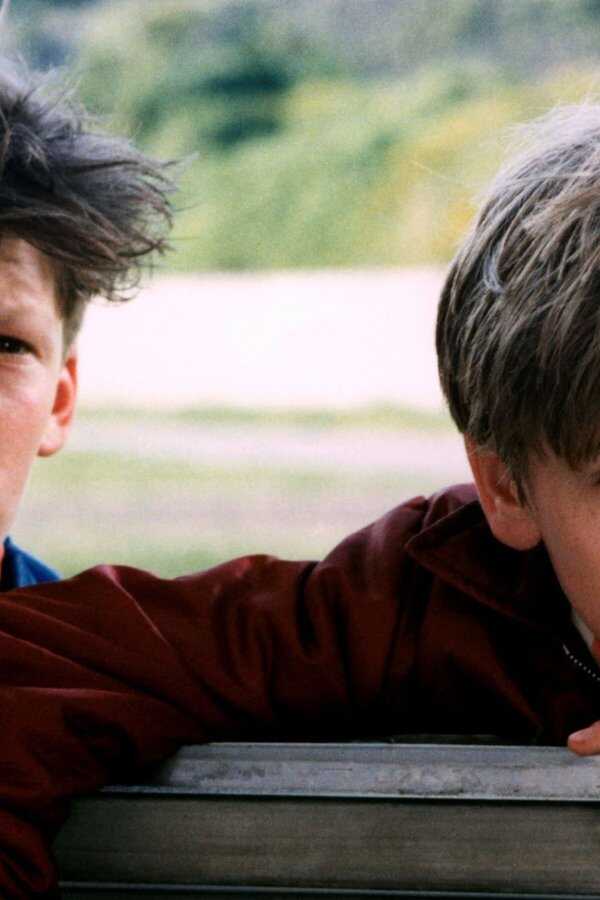 La vie est un long fleuve tranquille (1988) 0