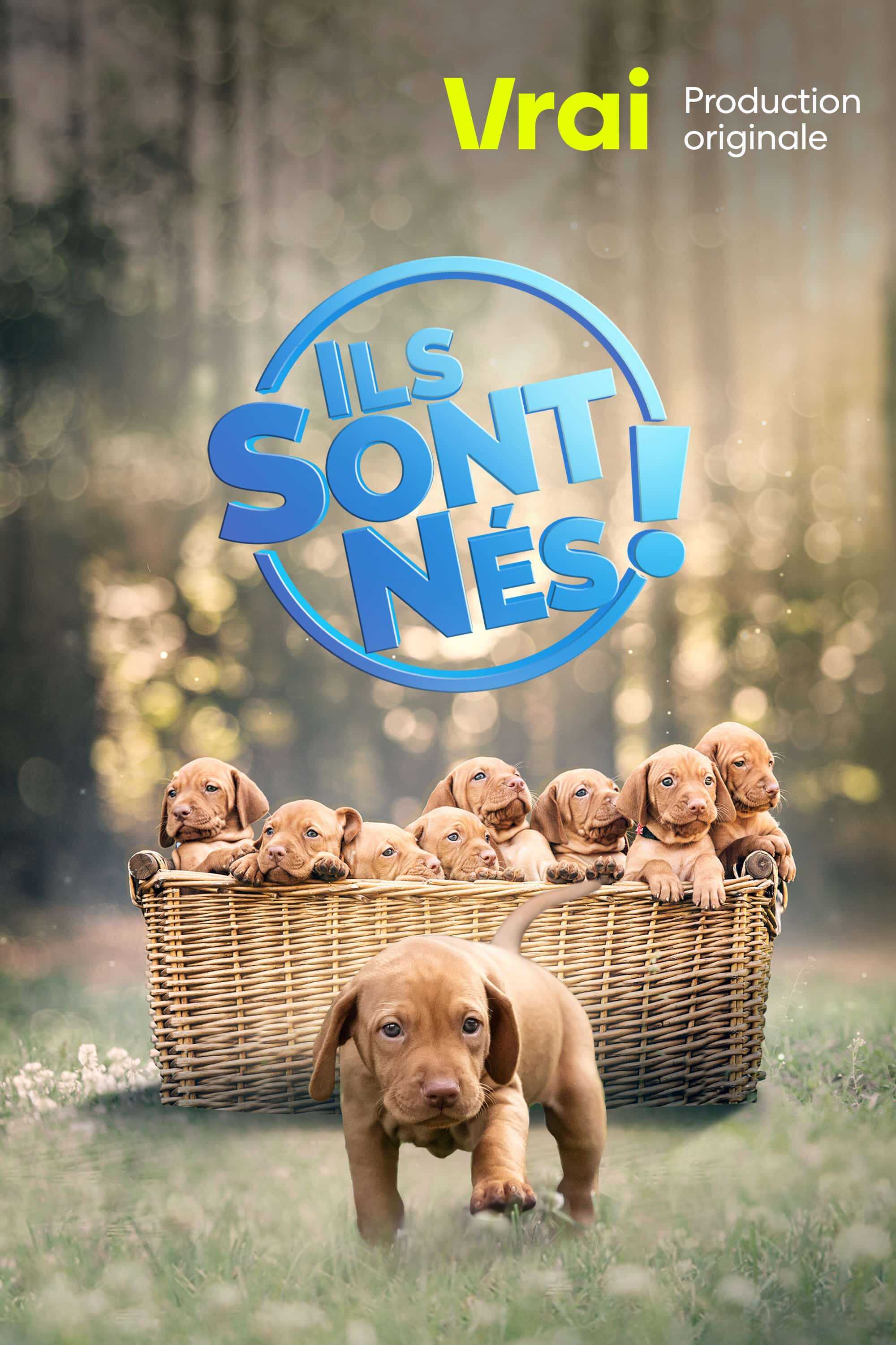 QFR - Ils sont nés! 4