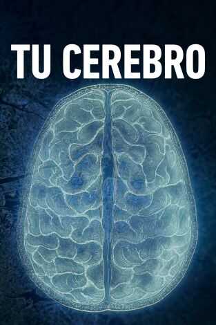 ES - Tu cerebro: La percepción 4