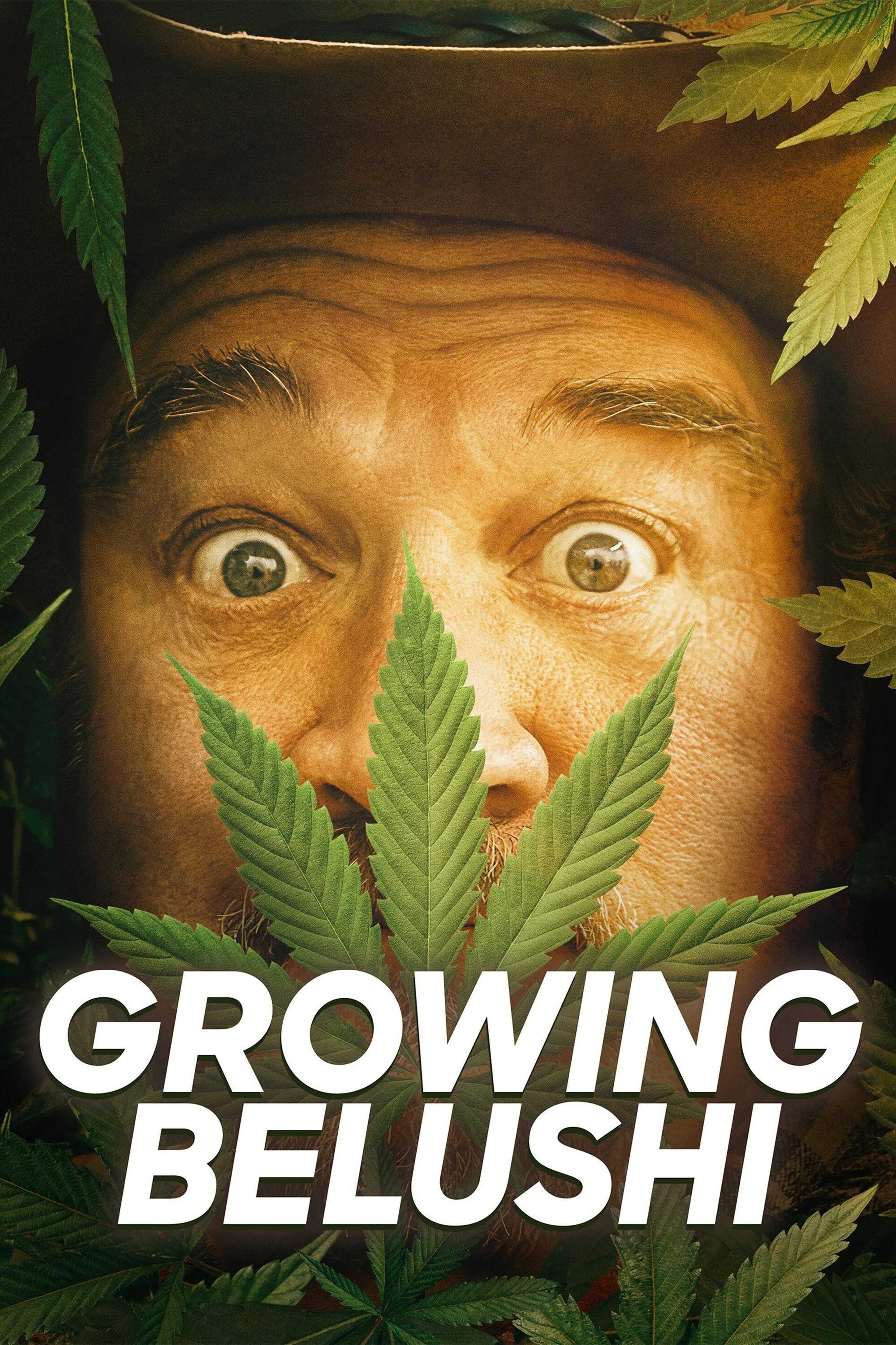EN - Growing Belushi (2023) 4