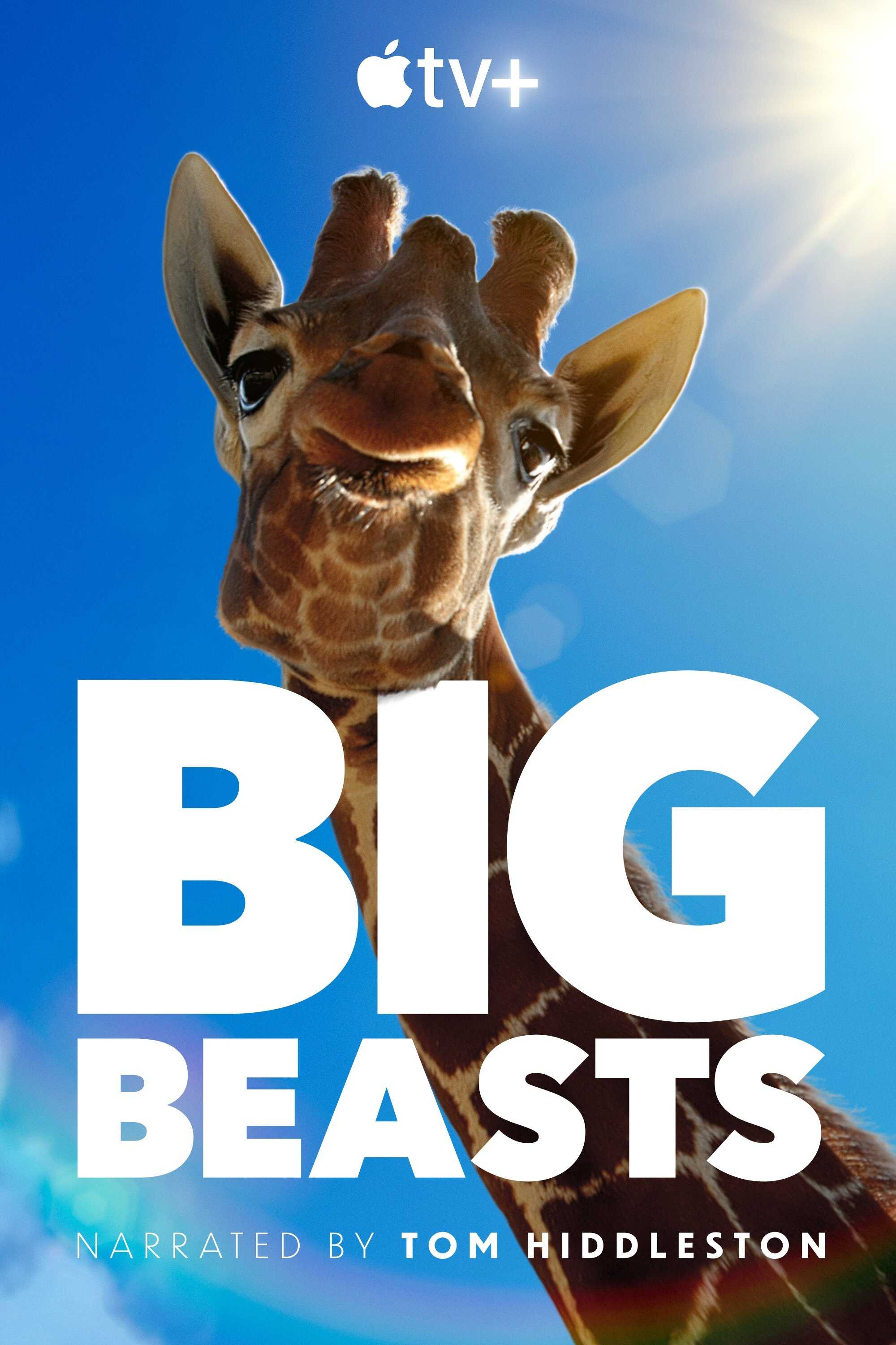 EN - Big Beasts (2023) 4