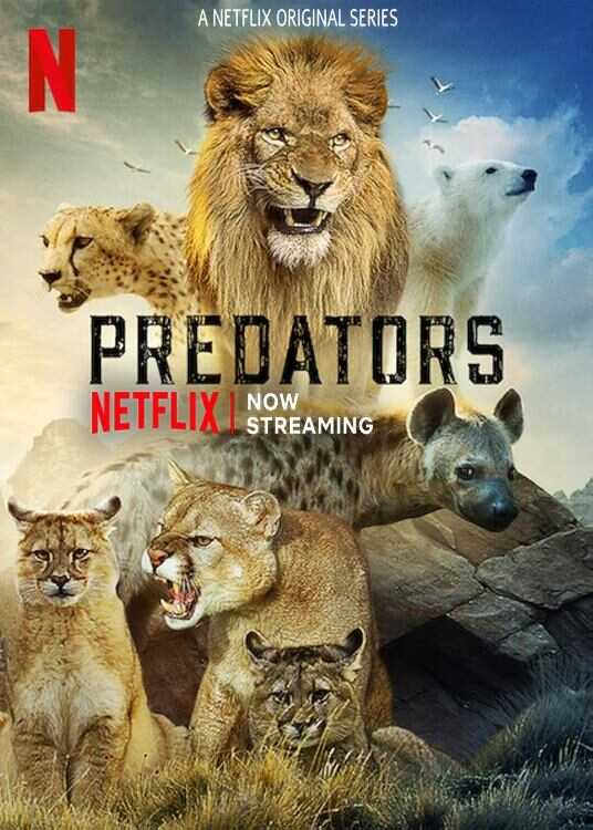 NF - Predators (2022) 5