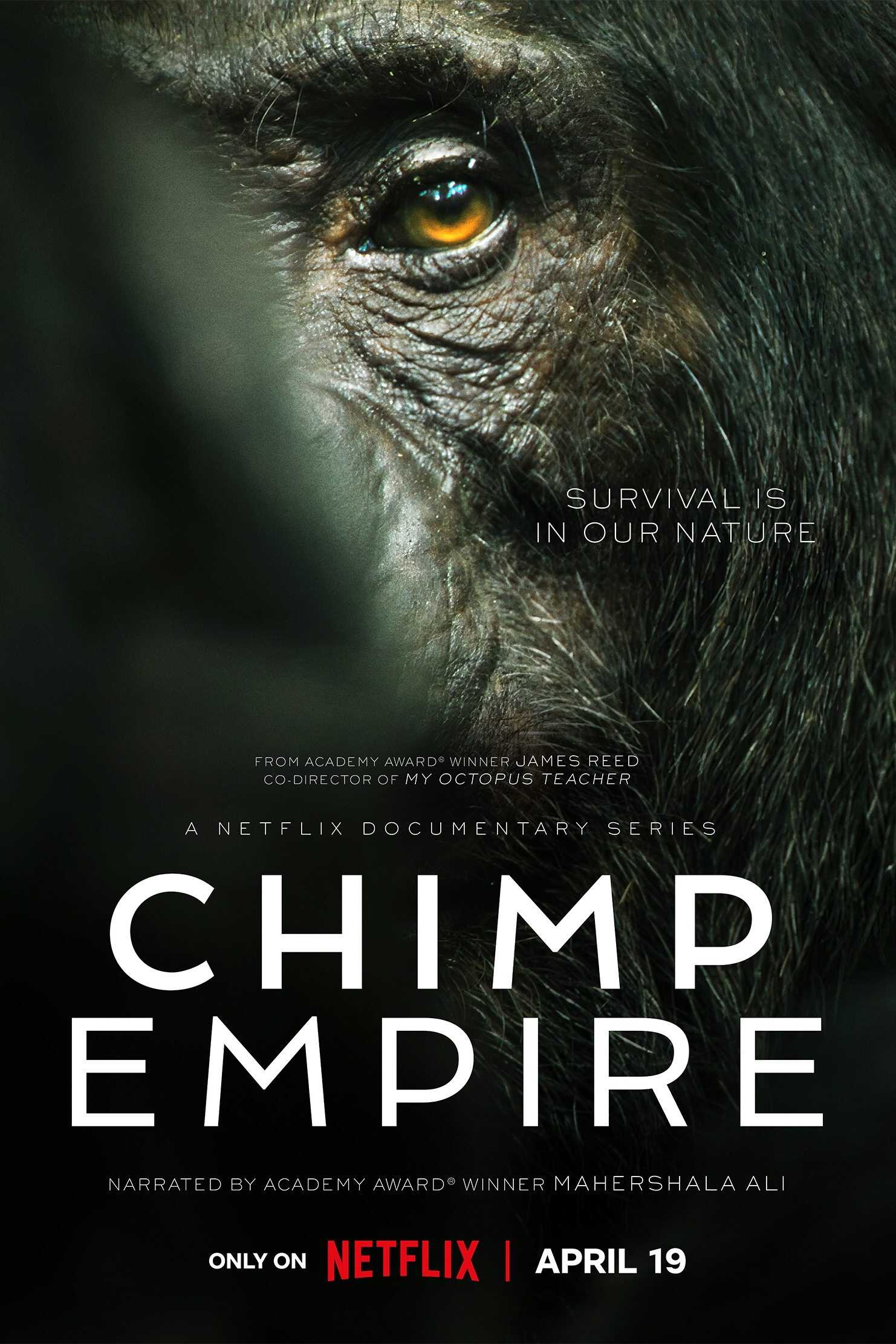 EN - Chimp Empire (2023) 4