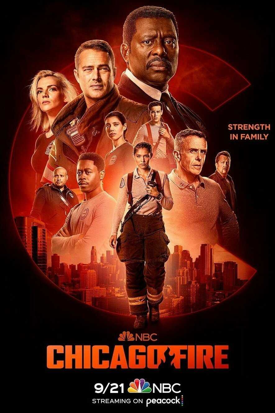 DE - Chicago Fire (2012) 4