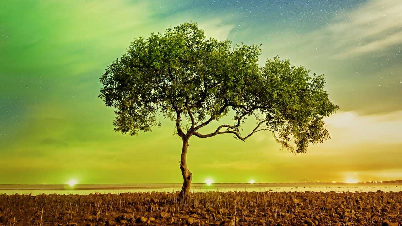 EN - A Perfect Planet 4K (2021) 1