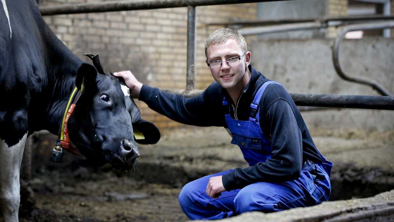 DK - Landmand søger kærlighed (2015) (DK) 4