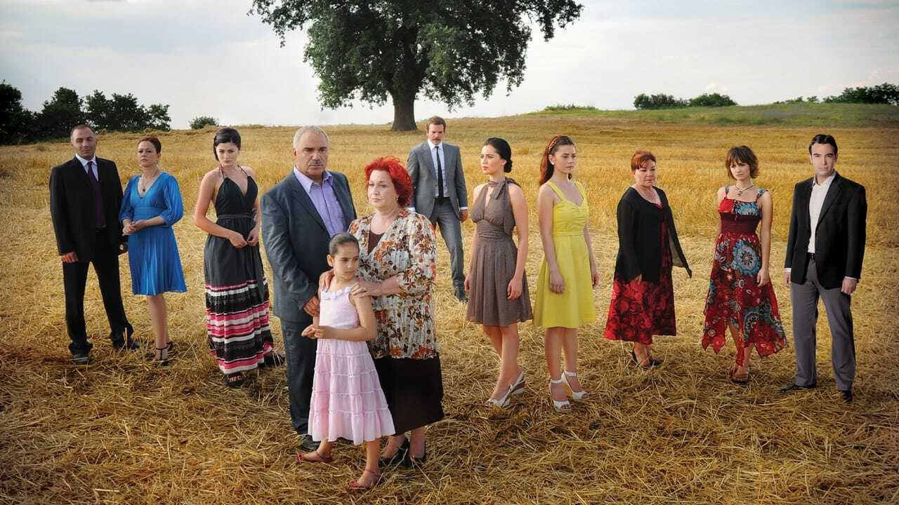 AR - مسلسل الأوراق المتساقطة مدبلج 0